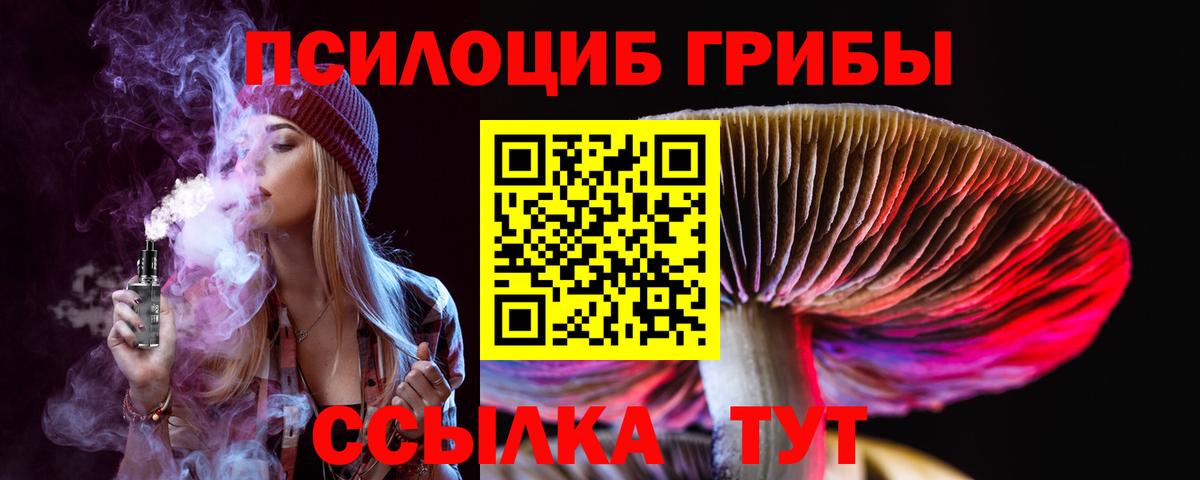 где купить наркотик  Псилоцибиновые грибы мицелий  Вход с VPN  Искитим 